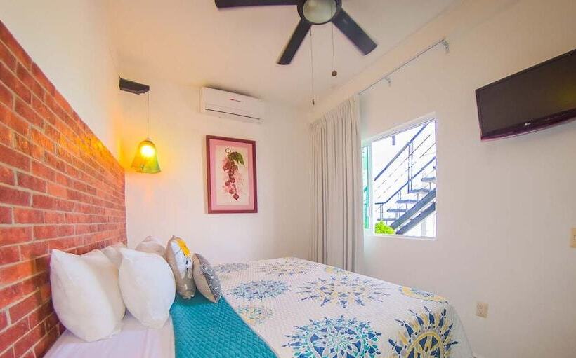 标准工作室, Suites Nadia Puerto Vallarta