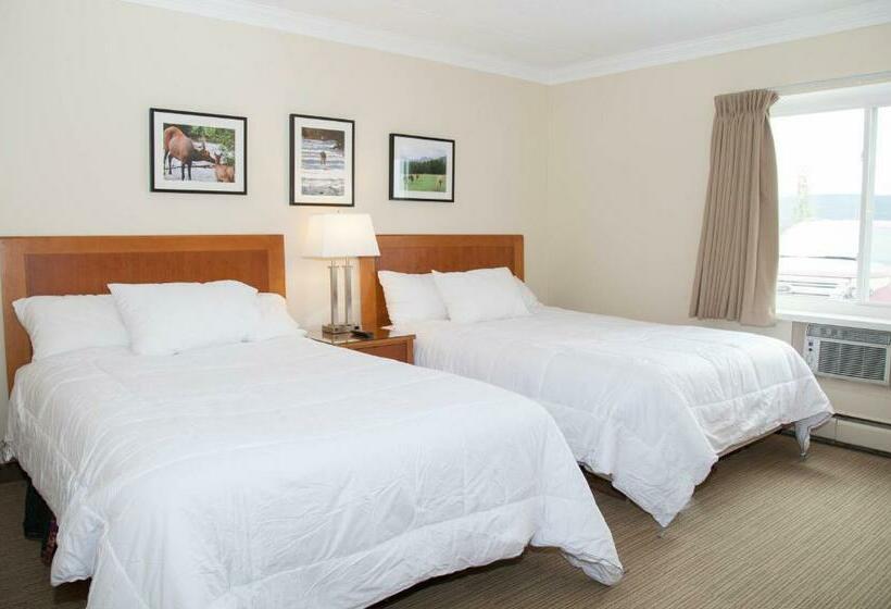 Номер Стандарт 2 Двуспальные Кровати, Twin Pine Inn & Suites