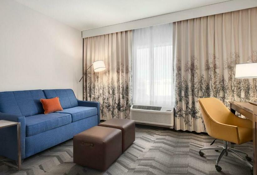 キングサイズベッドのスタンダードルーム, Hampton Inn Turlock