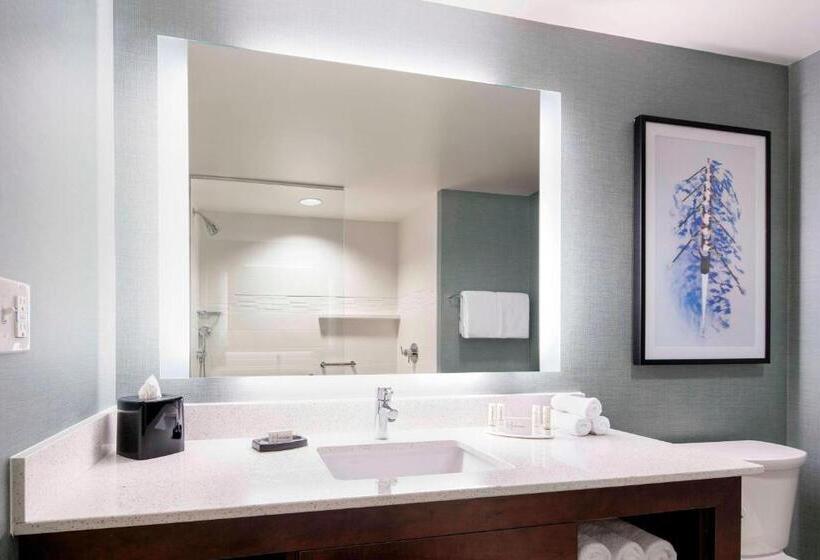 ２ベッドスイートルーム, Residence Inn By Marriott Boston Watertown