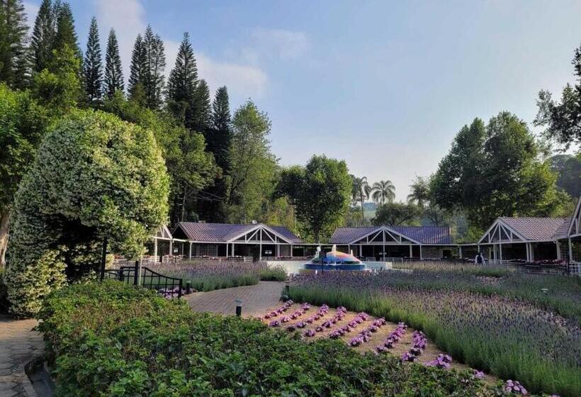 Вилла 1 Спальня Вид на Сад, Unique Garden
