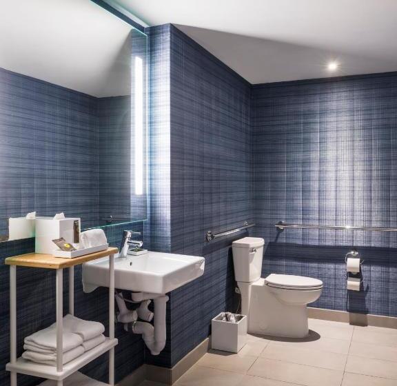适合残疾人士使用的高档房间, Novotel Miami Brickell