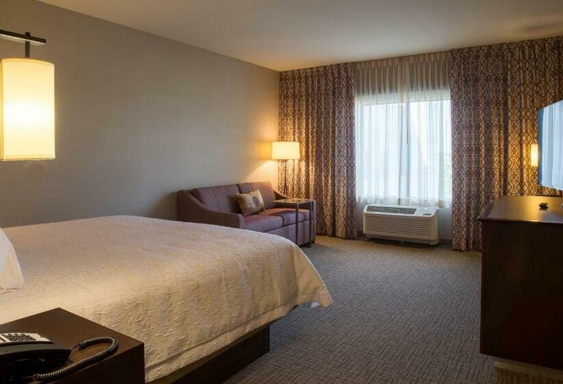 스탠다드 룸 킹사이즈 침대, Hampton Inn & Suites Murrieta Temecula
