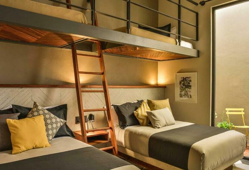 Family Suite, Criol
