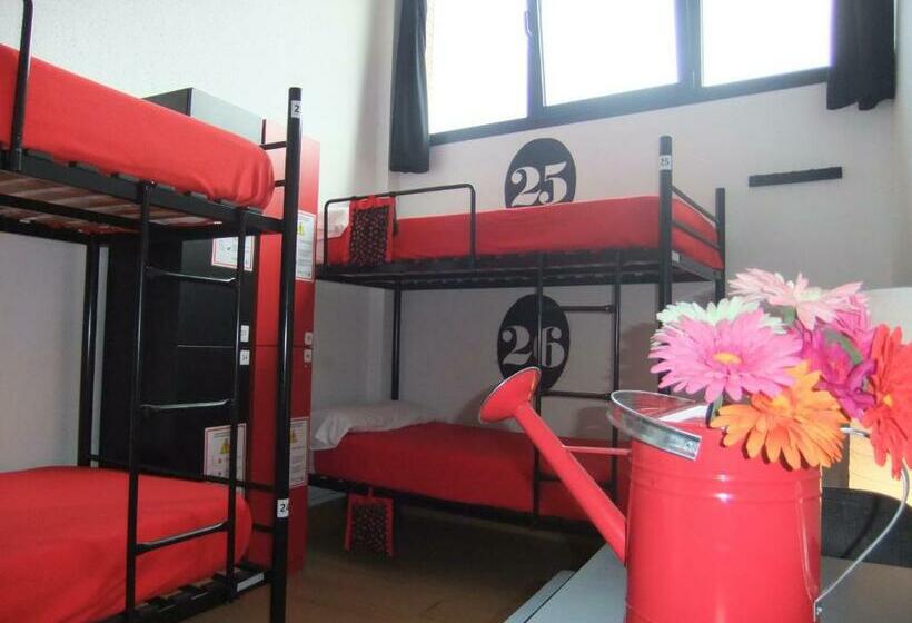 Кровать в Общей Комнате, Bilbao Akelarre Hostel