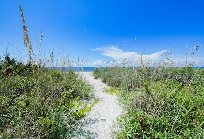 스탠다드 스튜디오 킹침대, Casey Key Resorts  Beachfront
