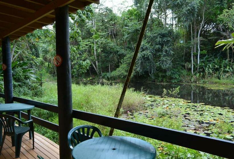 이코노미 룸, Rainforest Eco Lodge