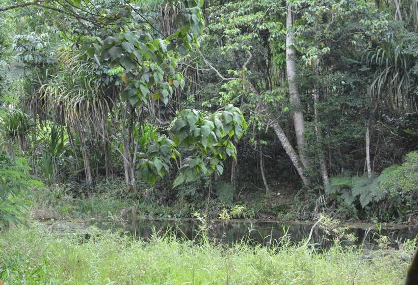 Номер Economy, Rainforest Eco Lodge