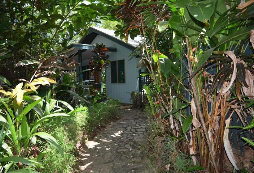 Номер Стандартный с Видом, Rainforest Eco Lodge
