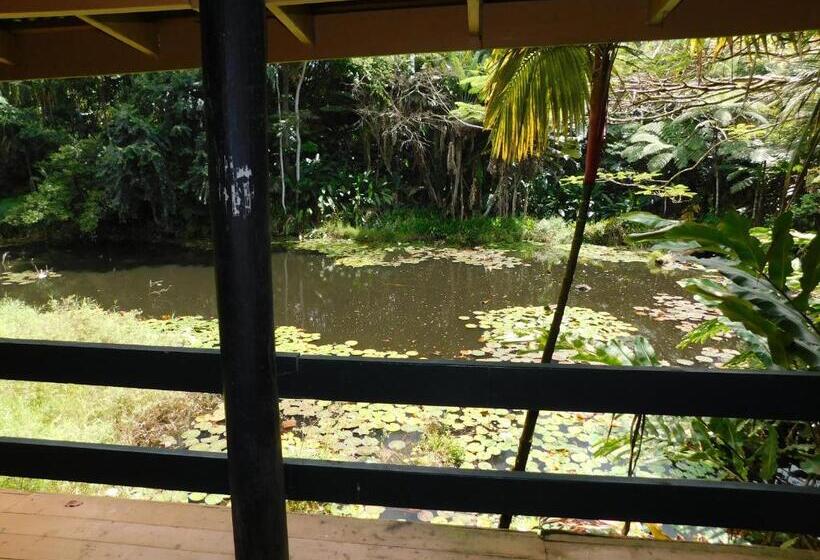 이코노미 룸, Rainforest Eco Lodge