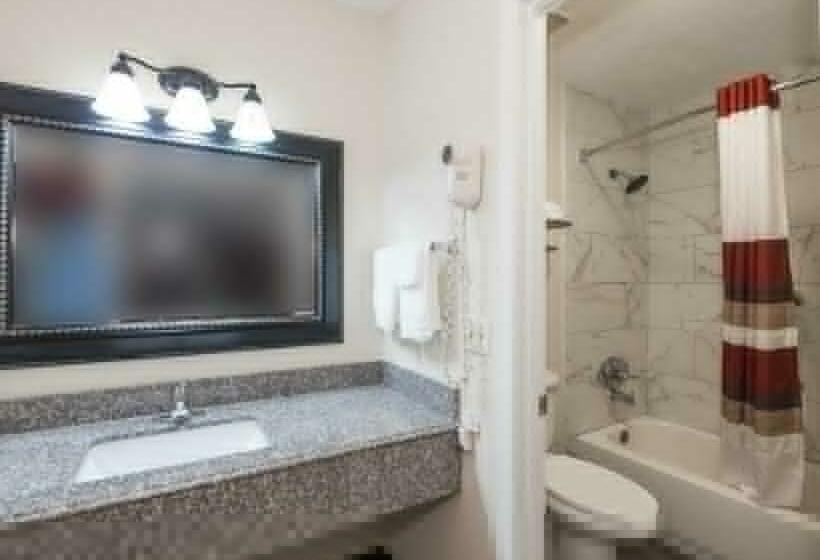 디럭스 룸, Red Roof Inn Chipley