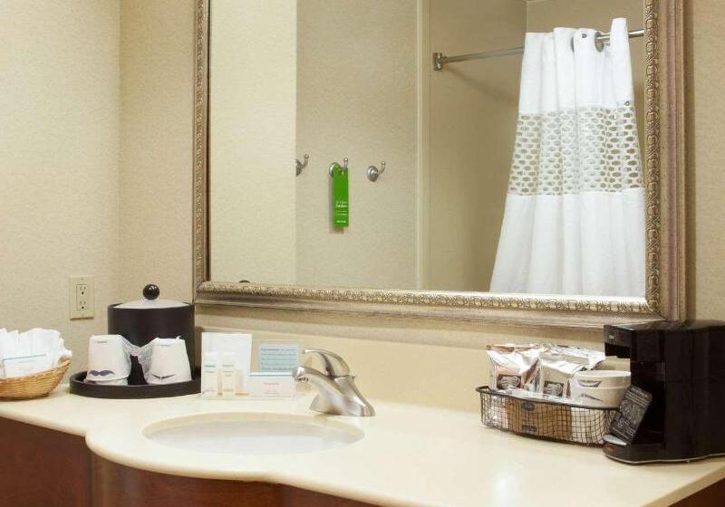 适合残疾人使用的标准间, Holiday Inn Express & Suites Houston Nw   Hwy 290 Cypress, An Ihg