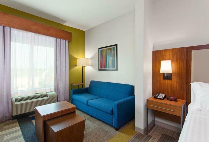 带大床的套房, Holiday Inn Express & Suites Houston Nw   Hwy 290 Cypress, An Ihg