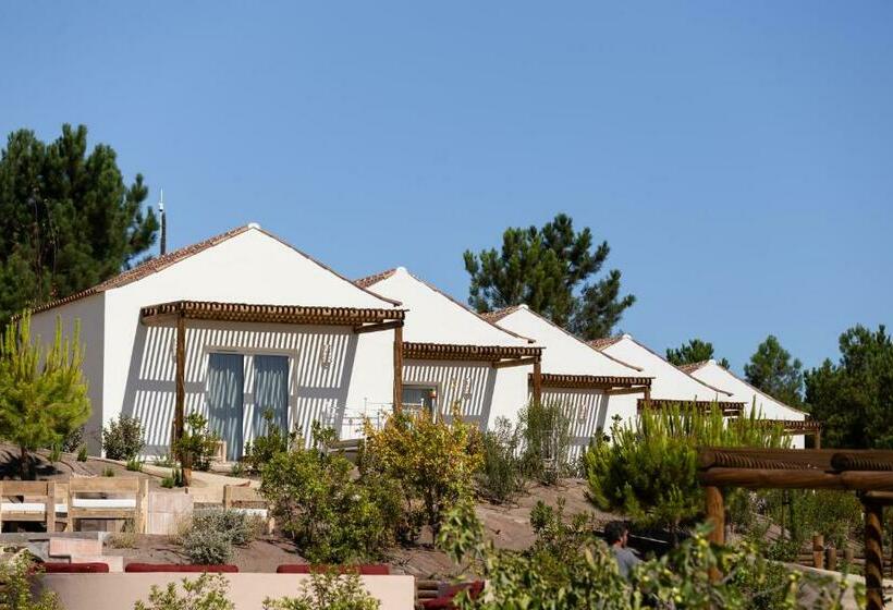Номер Стандарт, Independente Comporta