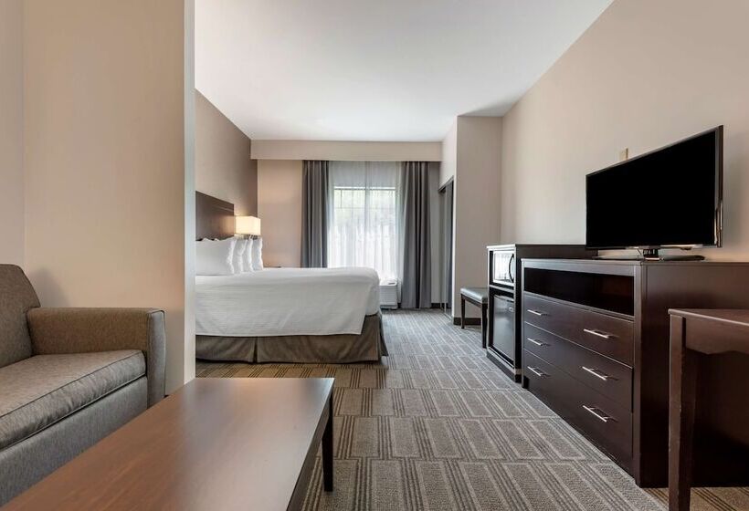 Люкс, Best Western Plus The Hammondsport