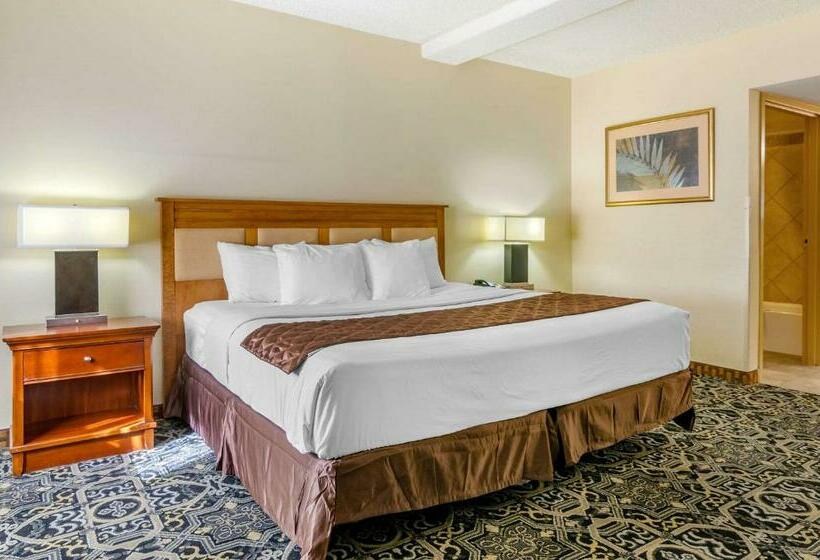 اتاق استاندارد با تخت بزرگ, Quality Inn Idaho Falls