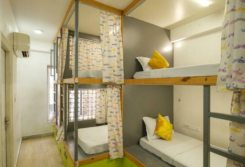 共用房间的床, Moustache Hostel Jaipur