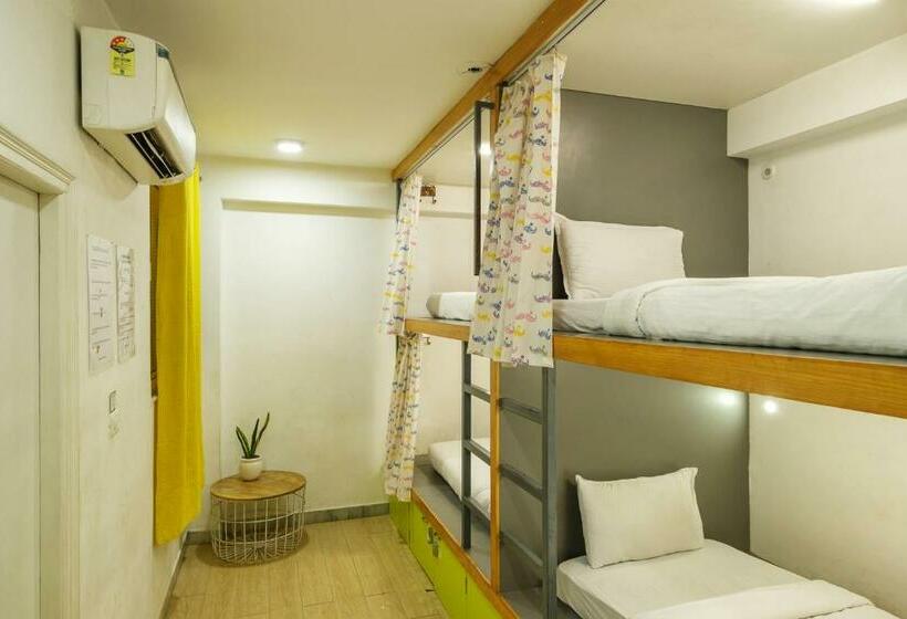 共用房间的床, Moustache Hostel Jaipur
