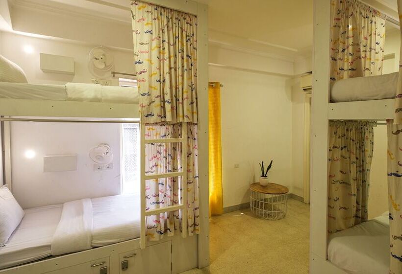 공동 객실, Moustache Hostel Jaipur