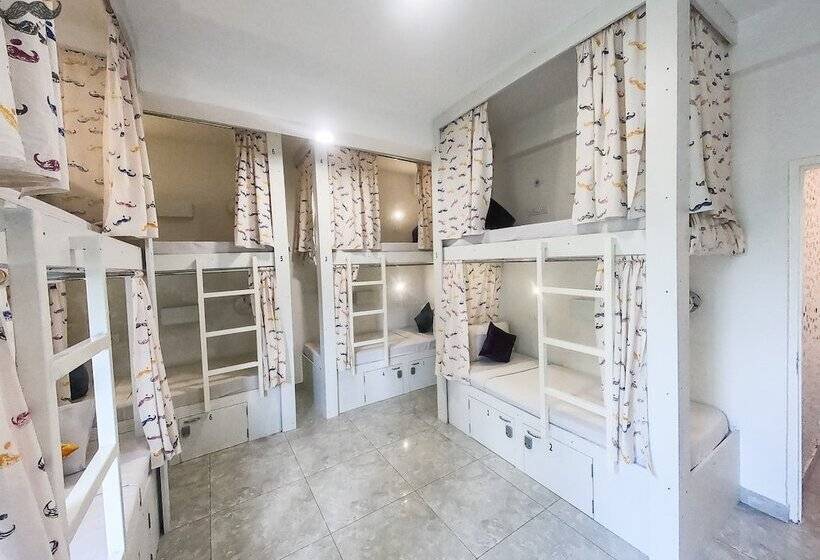 共用房间的床, Moustache Hostel Jaipur