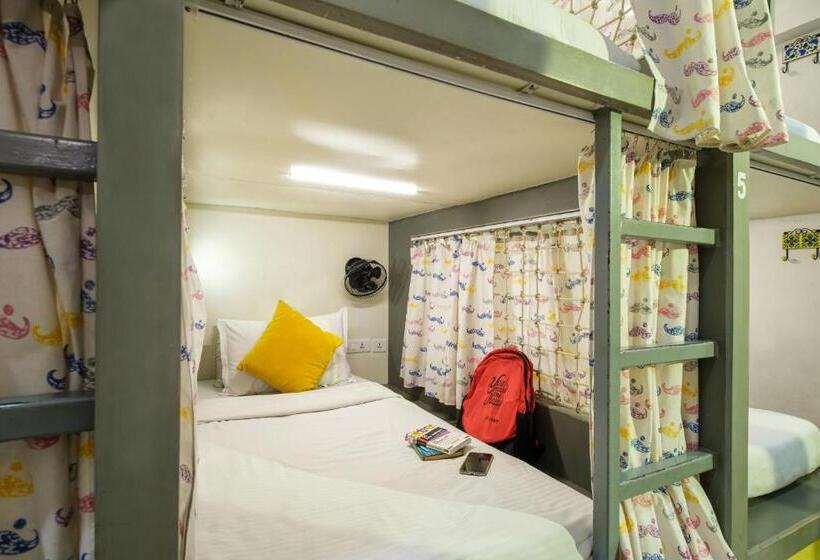共用床高级房间, Moustache Hostel Jaipur