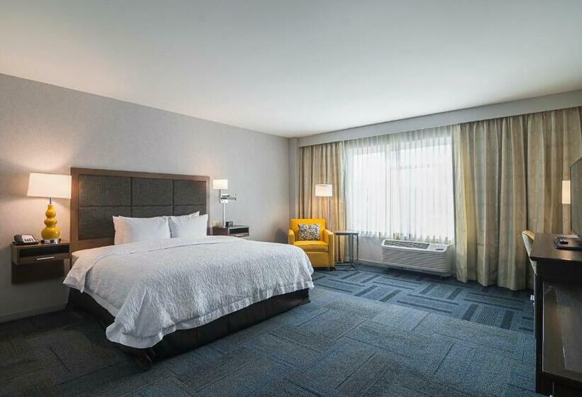 Quarto Estandar Cama King para Deficientes Físicos, Hampton Inn Chicago North-loyola Station