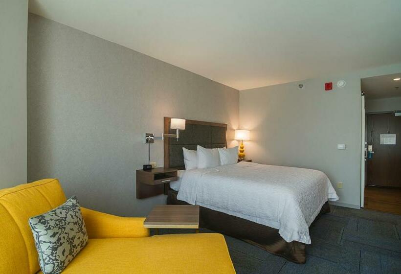 Стандартный Номер Кровать Кинг, Hampton Inn Chicago North-loyola Station