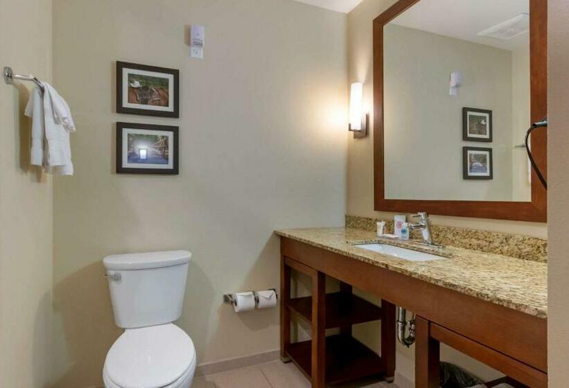Люкс, Comfort Suites Billings