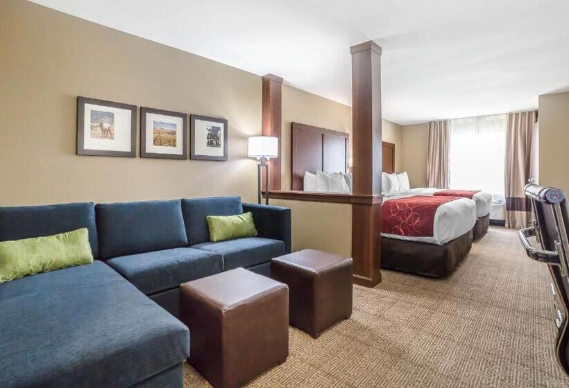 Люкс, Comfort Suites Billings
