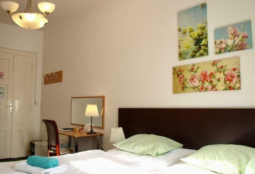 Camera Standard Bagno Condiviso, Pension Village