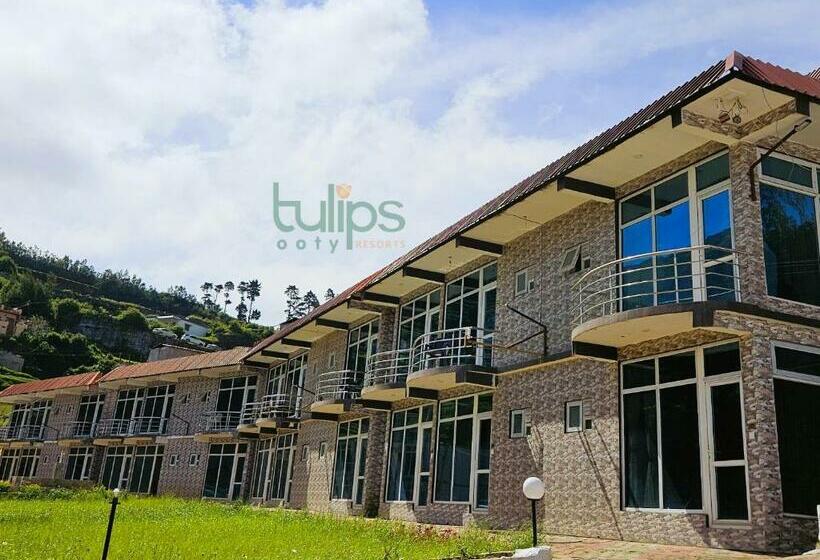带阳台套房, Tulips Village Resorts