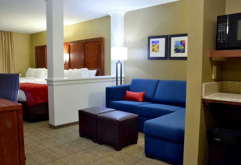 스위트, Comfort Suites Dunnellon Near Rainbow Springs