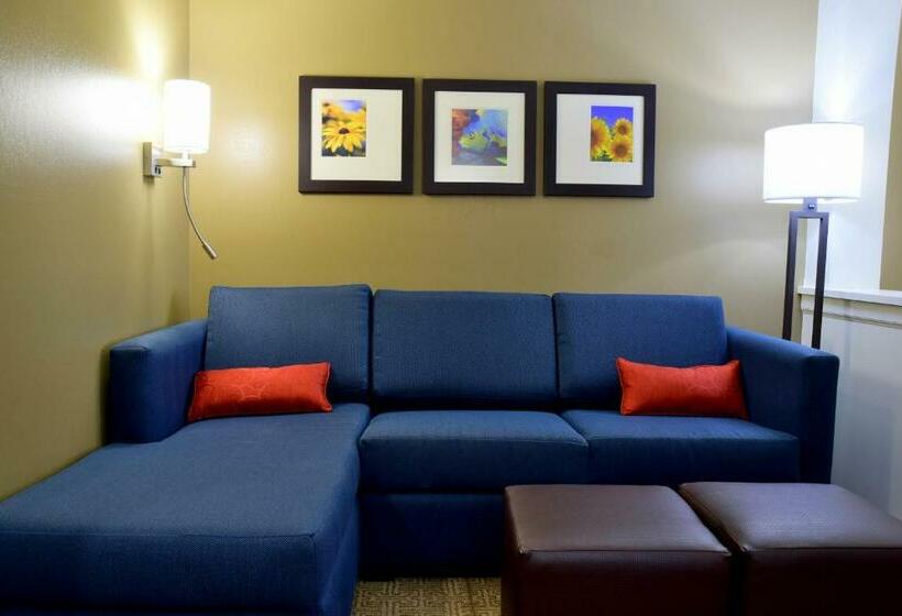 스위트, Comfort Suites Dunnellon Near Rainbow Springs