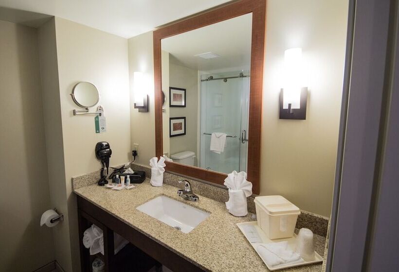 스위트, Comfort Suites Dunnellon Near Rainbow Springs