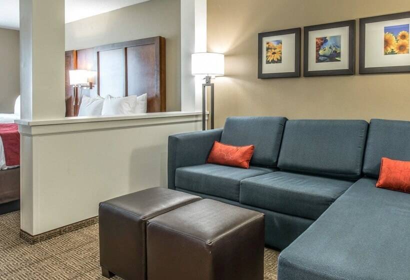 스위트, Comfort Suites Dunnellon Near Rainbow Springs