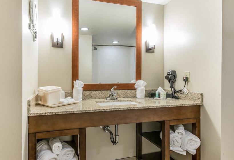 장애인을 위한 스위트, Comfort Suites Dunnellon Near Rainbow Springs