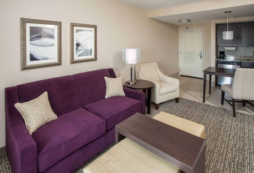 キングサイズベッドのスイートルーム, Homewood Suites By Hilton Munster