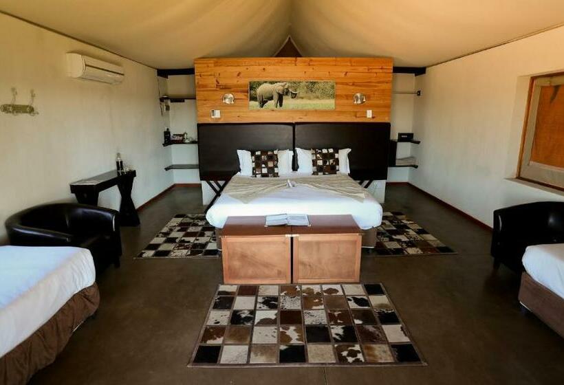 家庭间, The Springbok Lodge