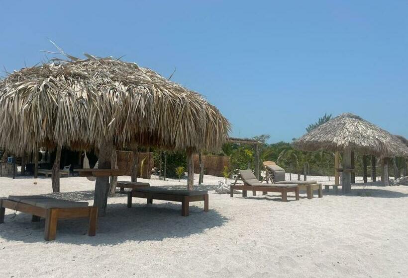 テラス付き１ベッドルームアパートメント, Gema Aparthotel & Beach