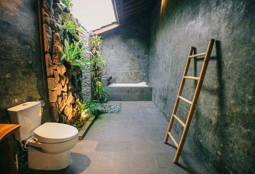 Номер Deluxe, Virani Villa