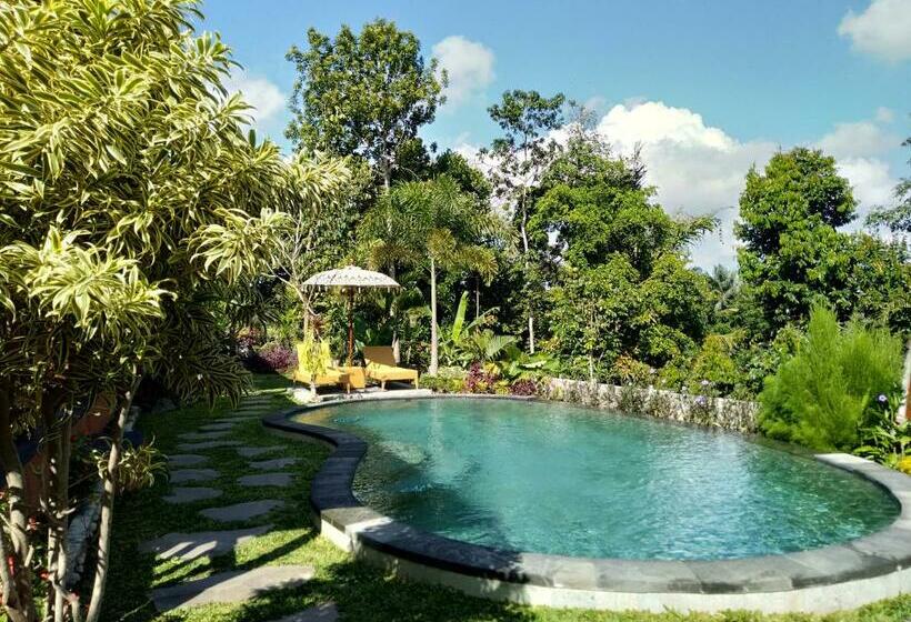 Стандартный Номер Кровать Кинг, Virani Villa