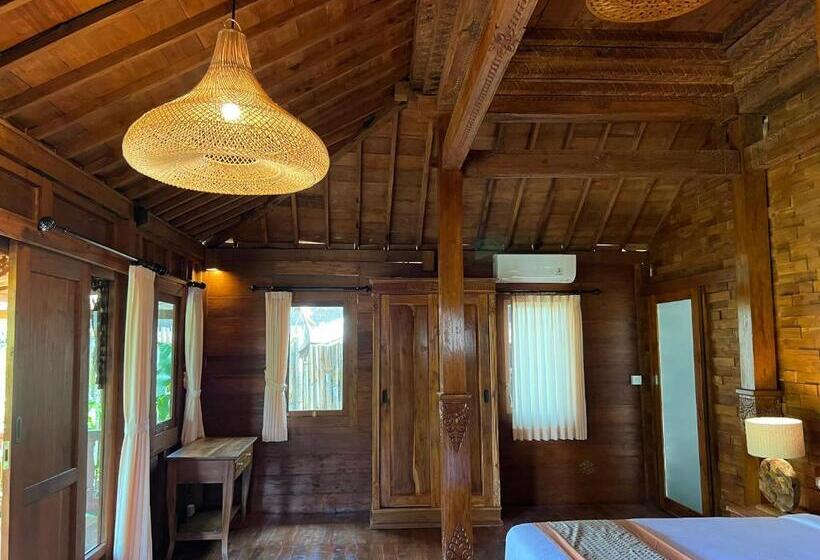 Вилла 1 Спальня Вид на Сад, Virani Villa