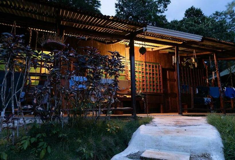 Quarto Quádruplo Estandar, Vista Alta Ecolodge Bahia Drake