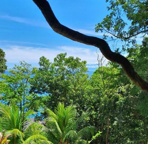 Quarto Quádruplo Estandar Vista Mar, Vista Alta Ecolodge Bahia Drake