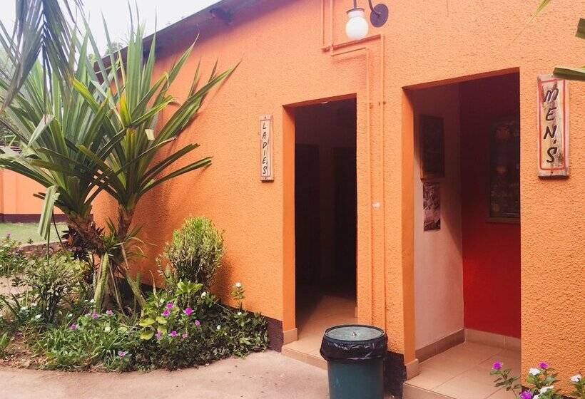 تختخواب در اتاق مشترک, Jollyboys Backpackers