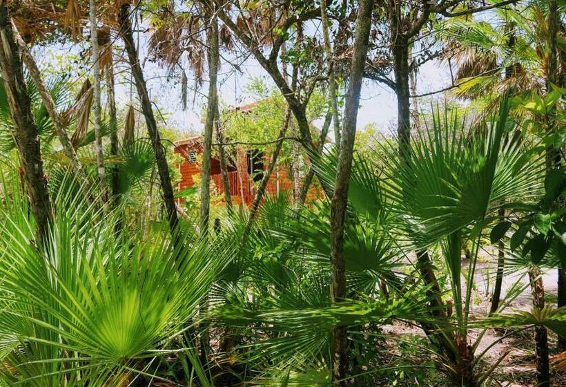 스탠다드 트리플 룸 가든 전망, Palmento Grove Garifuna Eco Cultural & Healing Institute