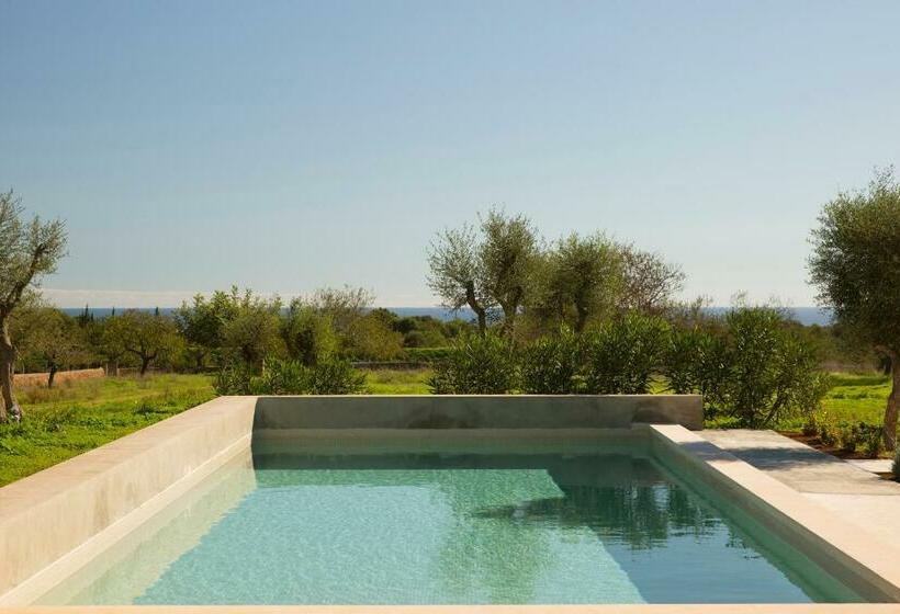 带1个卧室的豪华公寓, Sa Nau Agroturismo   Adults Only