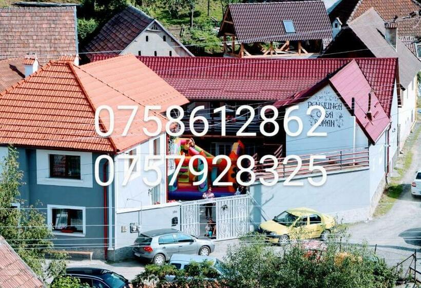 Номер Стандарт Трехместный, Pensiunea Casa Roman
