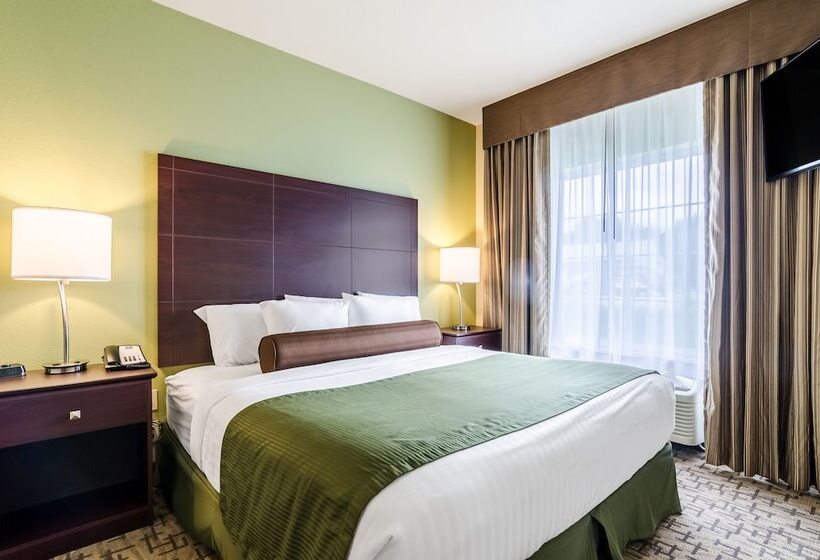 스위트, Cobblestone Hotel & Suites   Mccook