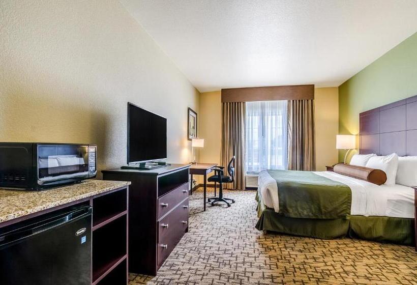 스탠다드 스튜디오, Cobblestone Hotel & Suites   Mccook